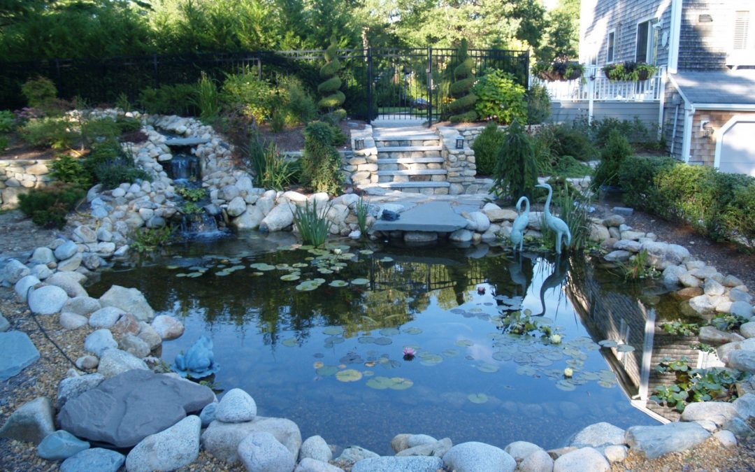 Ponds, Water Gardens, Water Falls, Water Features – Springfield, MA