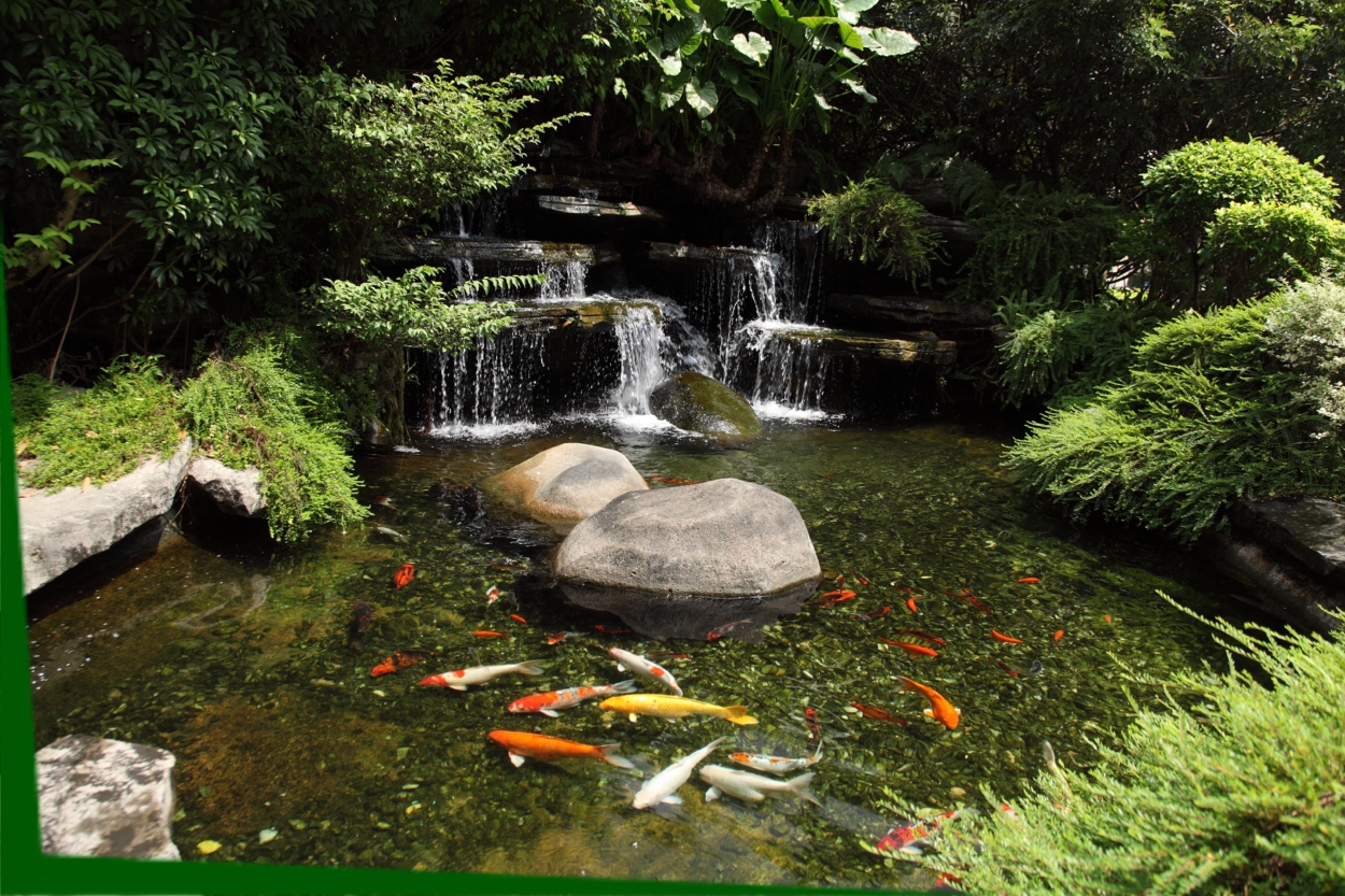 Outdoor Ponds & Water Gardens in Springfield, MA & Hartford, CT