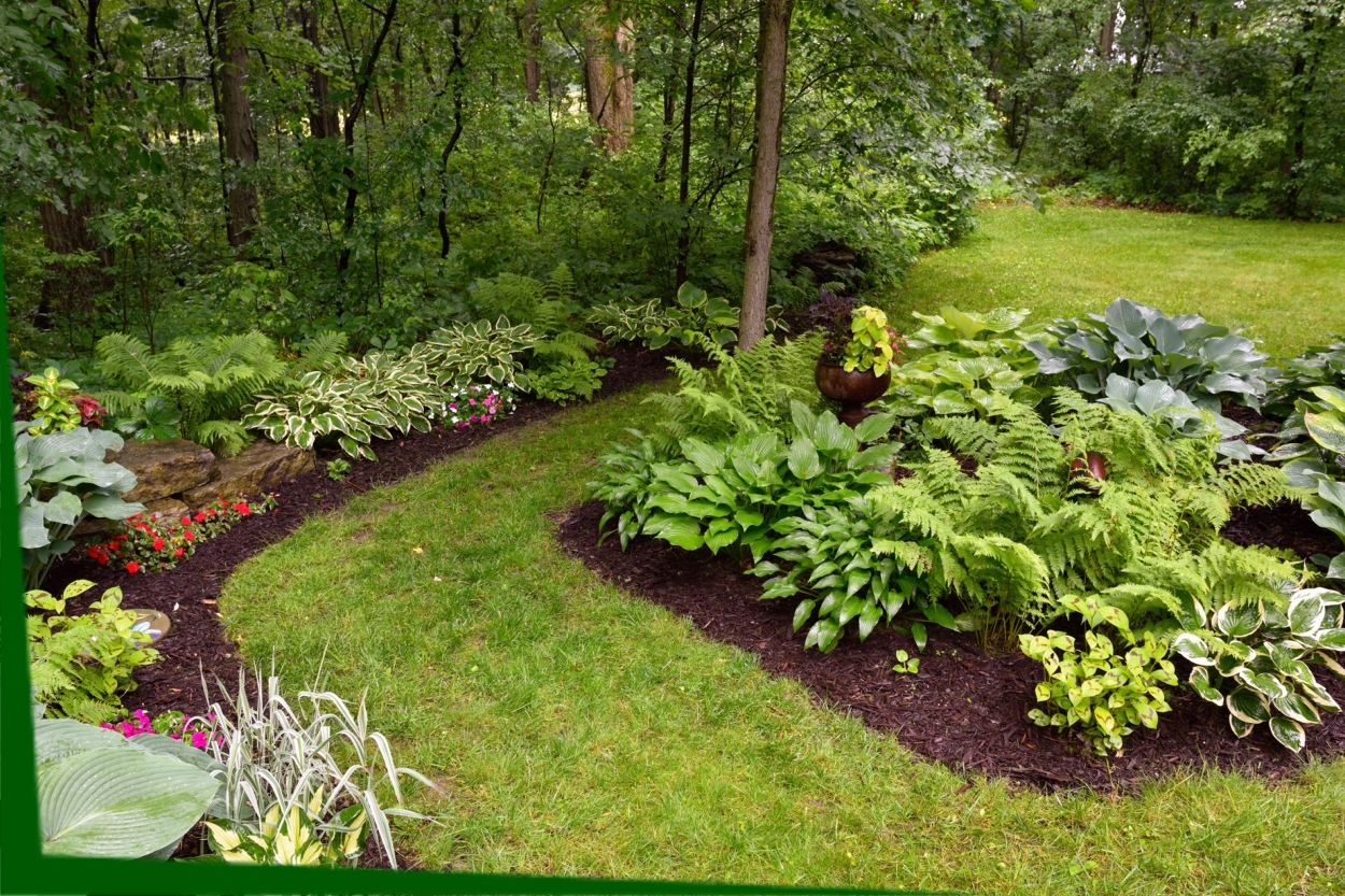 Landscape Design, Tree & Shrub Installations in Springfield, MA & Hartford, CT