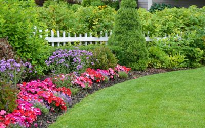 Ornamental Shrub and Tree Planting Services | Somers, CT
